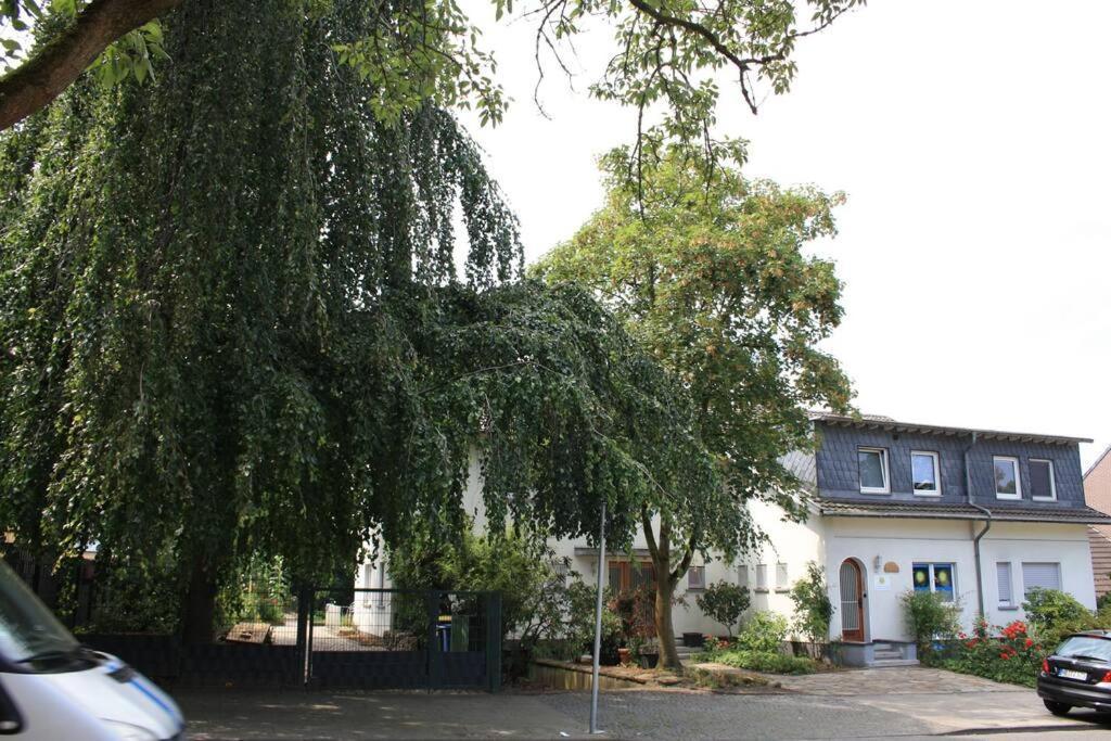 Top Messe Ferienwohnung 81Qm 埃森 外观 照片